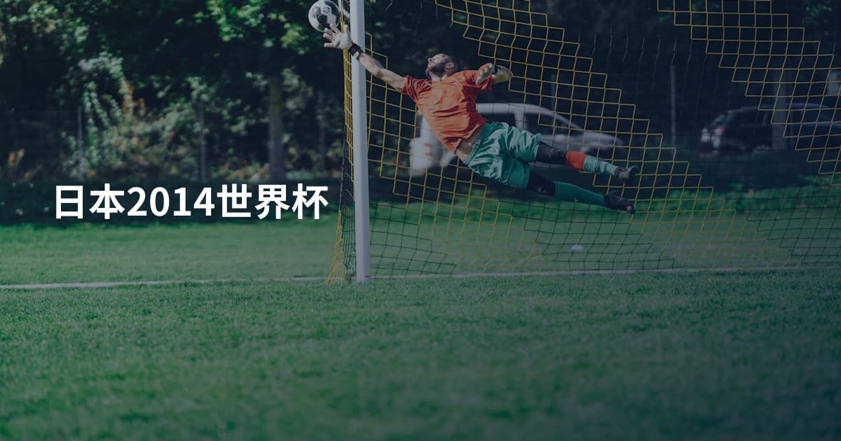 日本2014世界杯