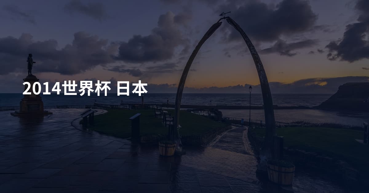 2014世界杯 日本