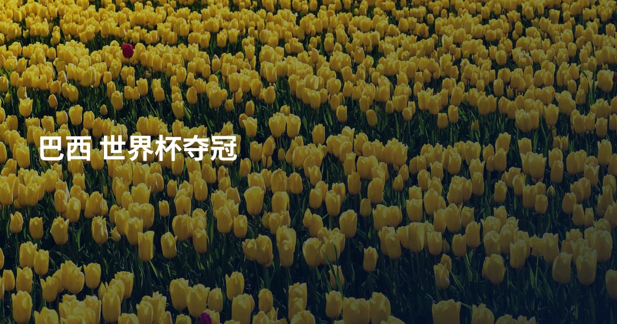 巴西 世界杯夺冠