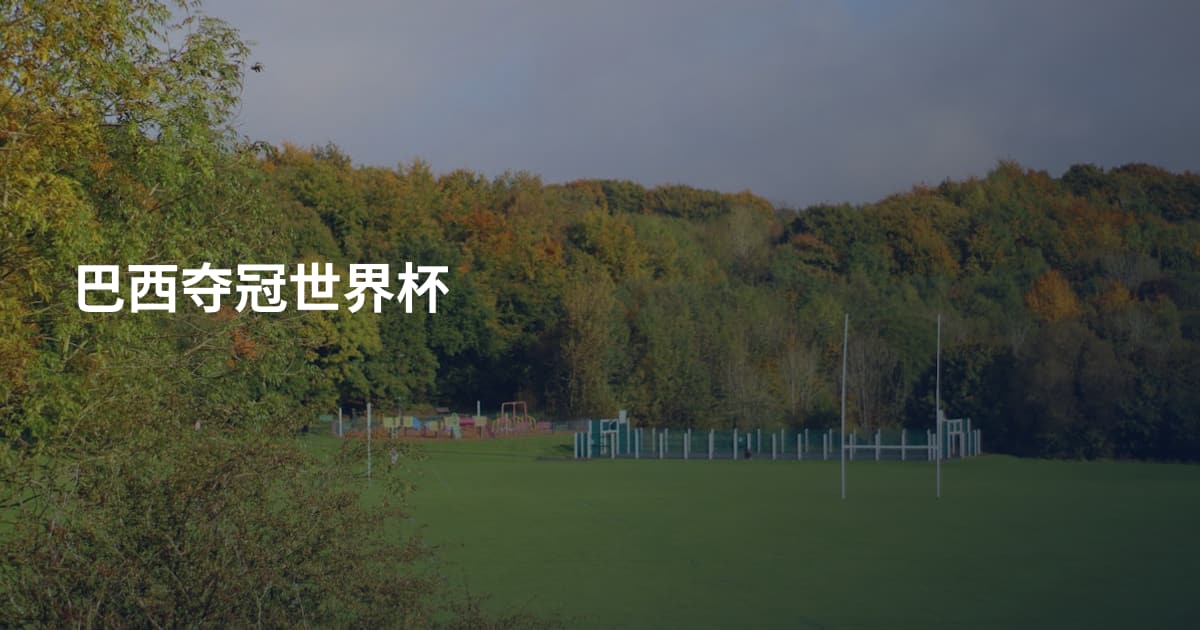 巴西夺冠世界杯
