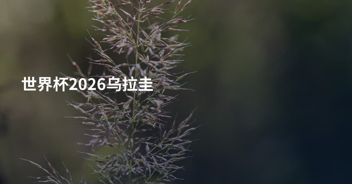 世界杯2026乌拉圭