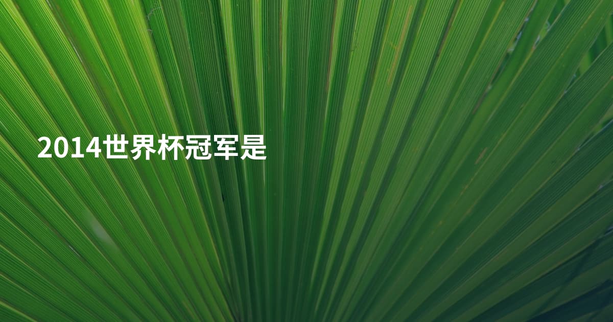 2014世界杯冠军是