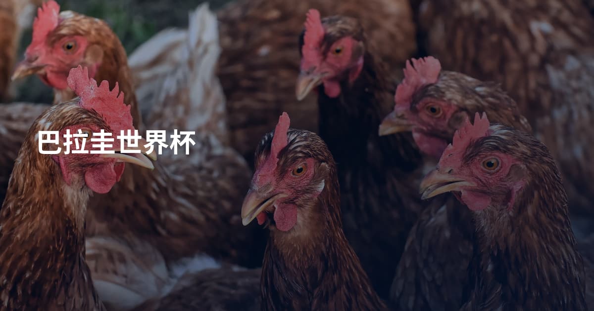 巴拉圭世界杯