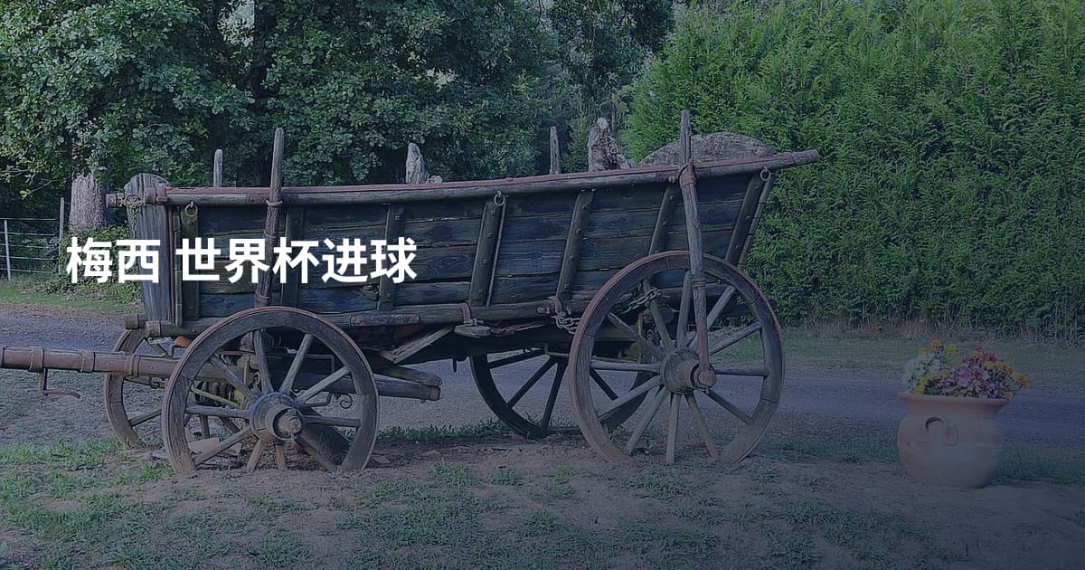 梅西 世界杯进球