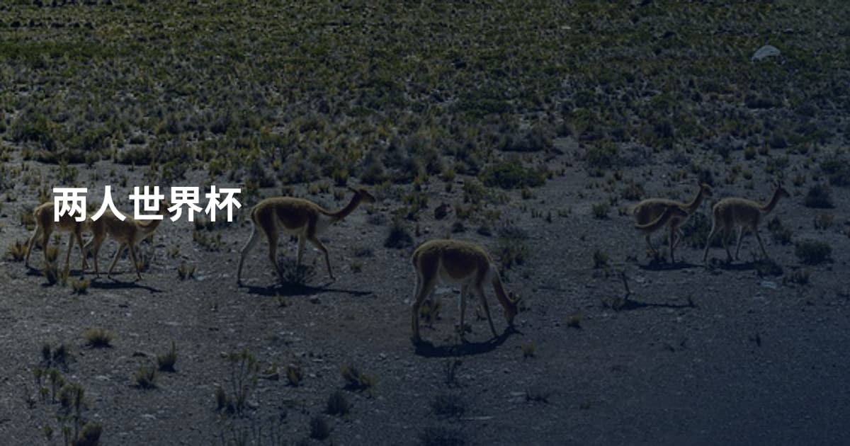 两人世界杯