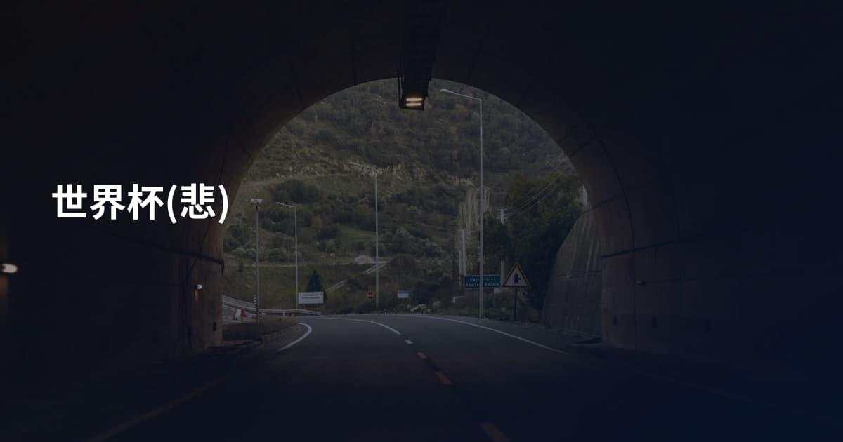 世界杯(悲)