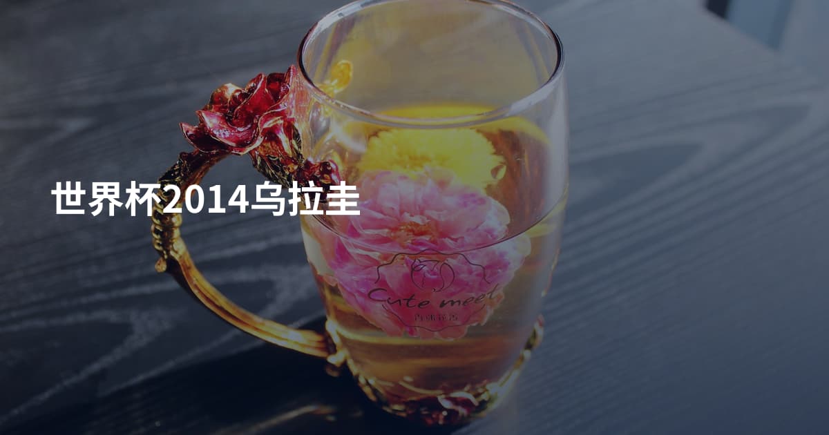世界杯2014乌拉圭