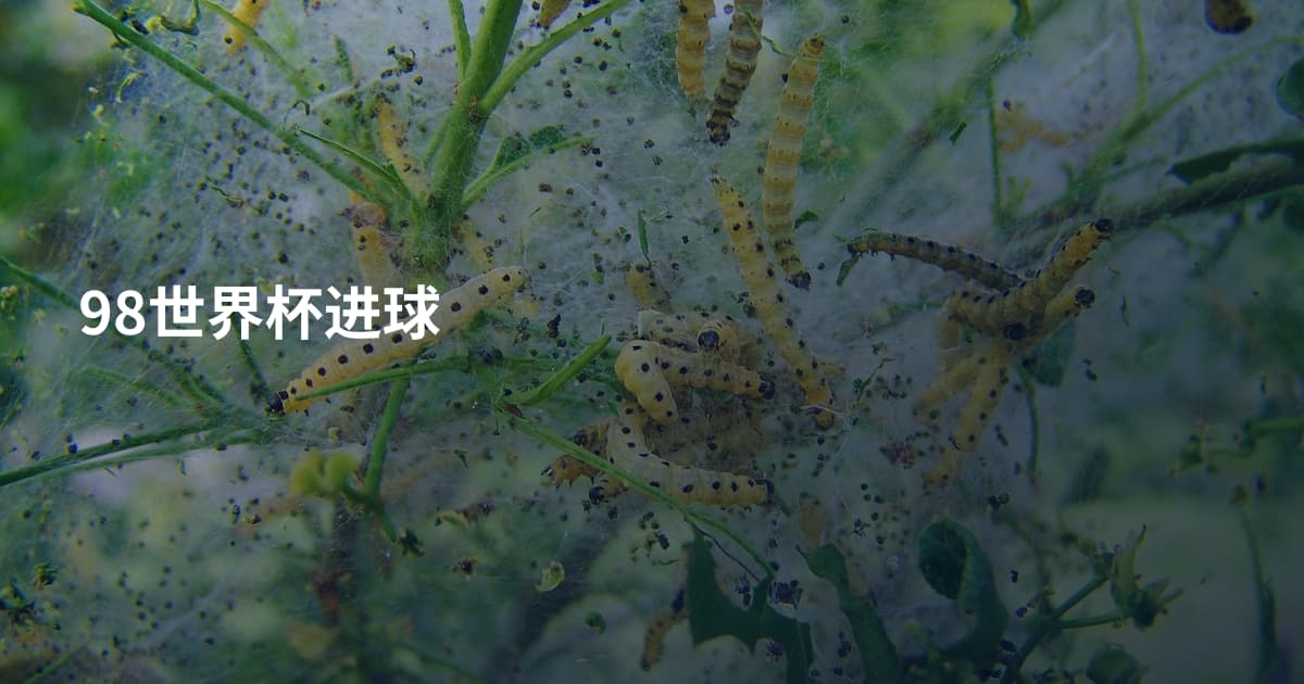 98世界杯进球