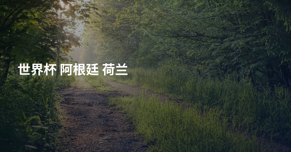 世界杯 阿根廷 荷兰