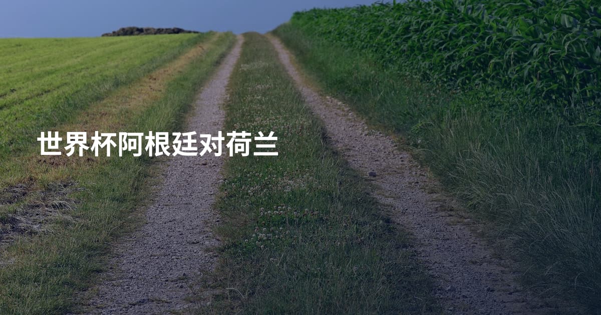 世界杯阿根廷对荷兰