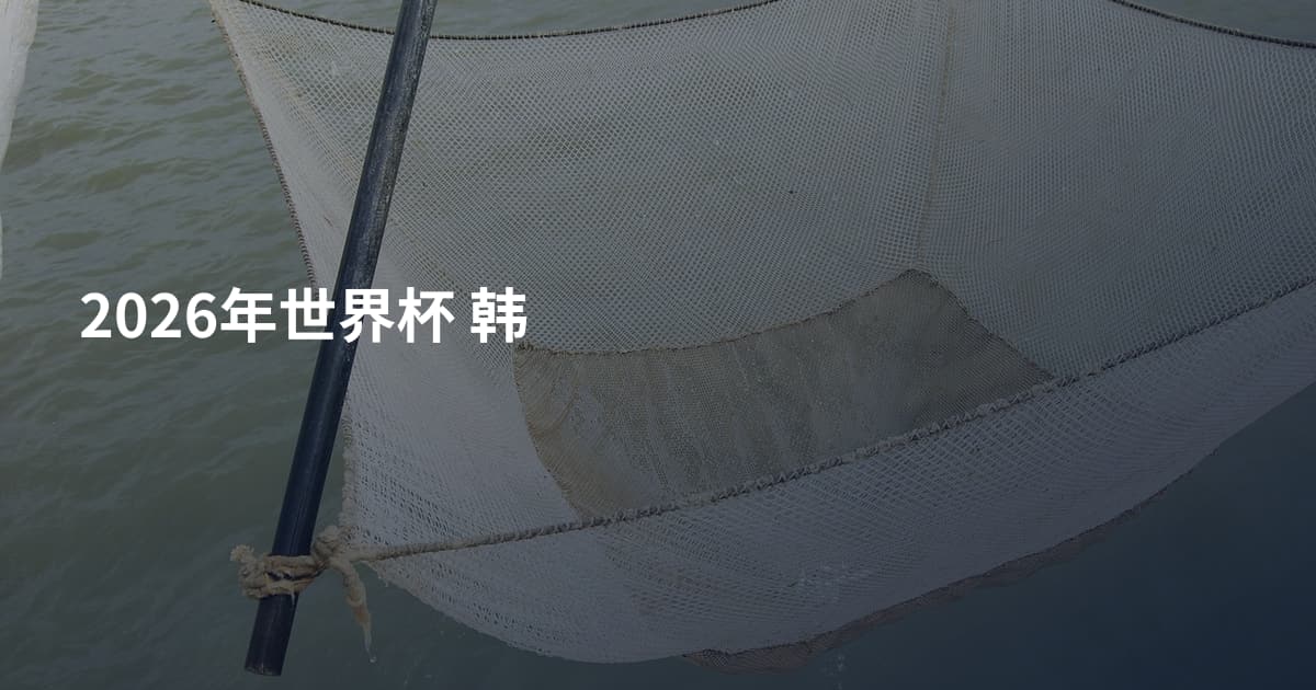 2026年世界杯 韩