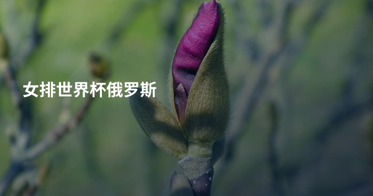 女排世界杯俄罗斯