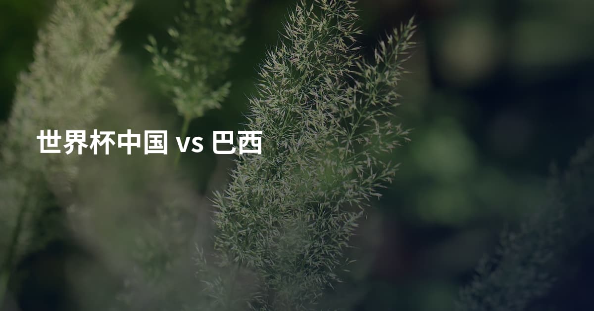世界杯中国 vs 巴西