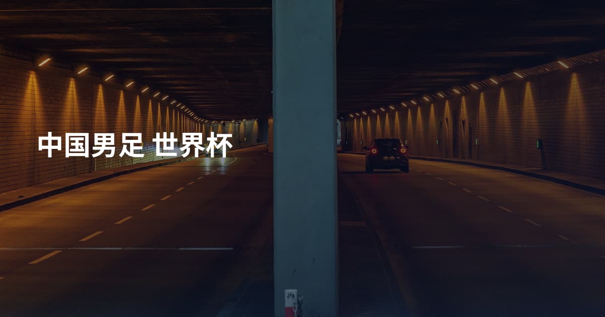 中国男足 世界杯