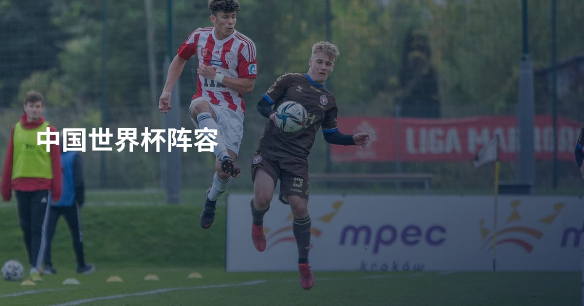 中国世界杯阵容
