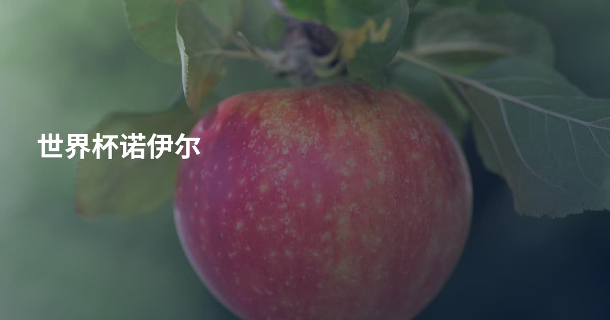 世界杯诺伊尔