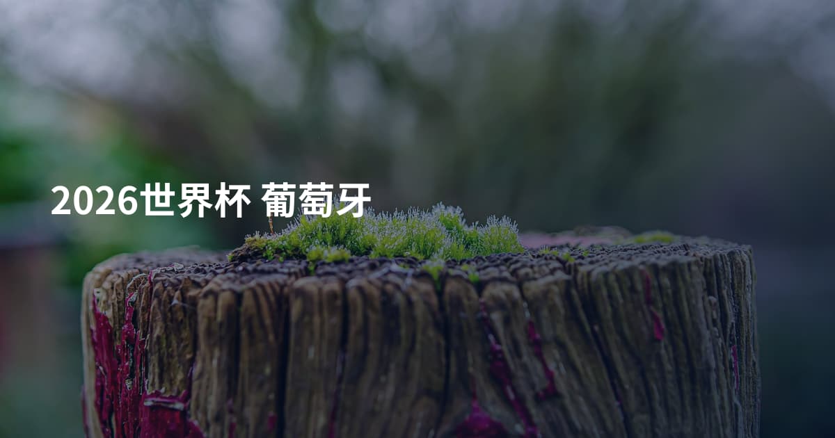 2026世界杯 葡萄牙
