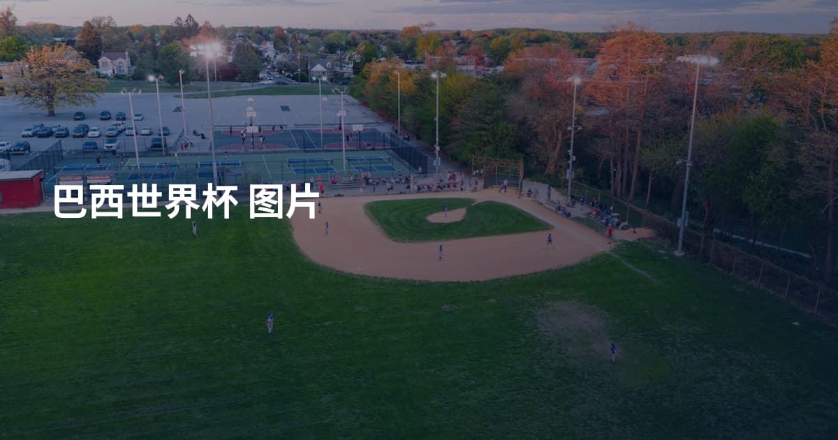 巴西世界杯 图片