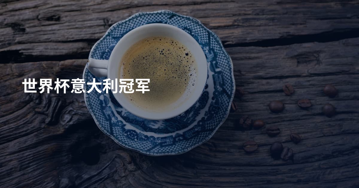 世界杯意大利冠军