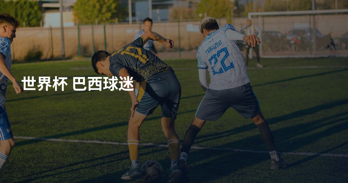 世界杯 巴西球迷