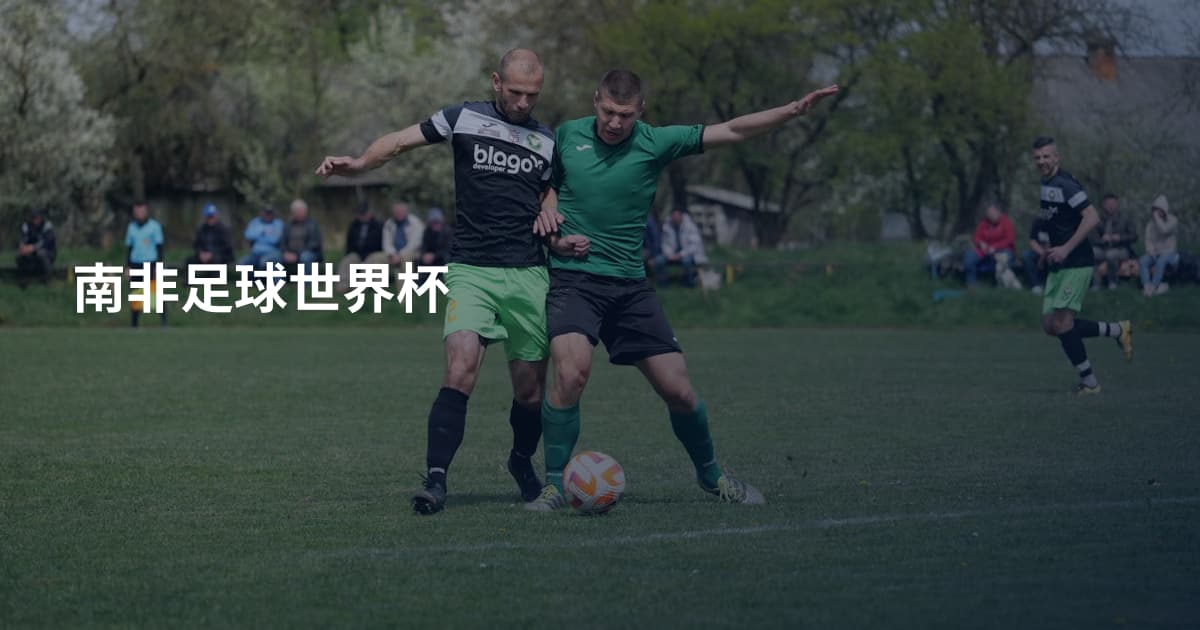 南非足球世界杯