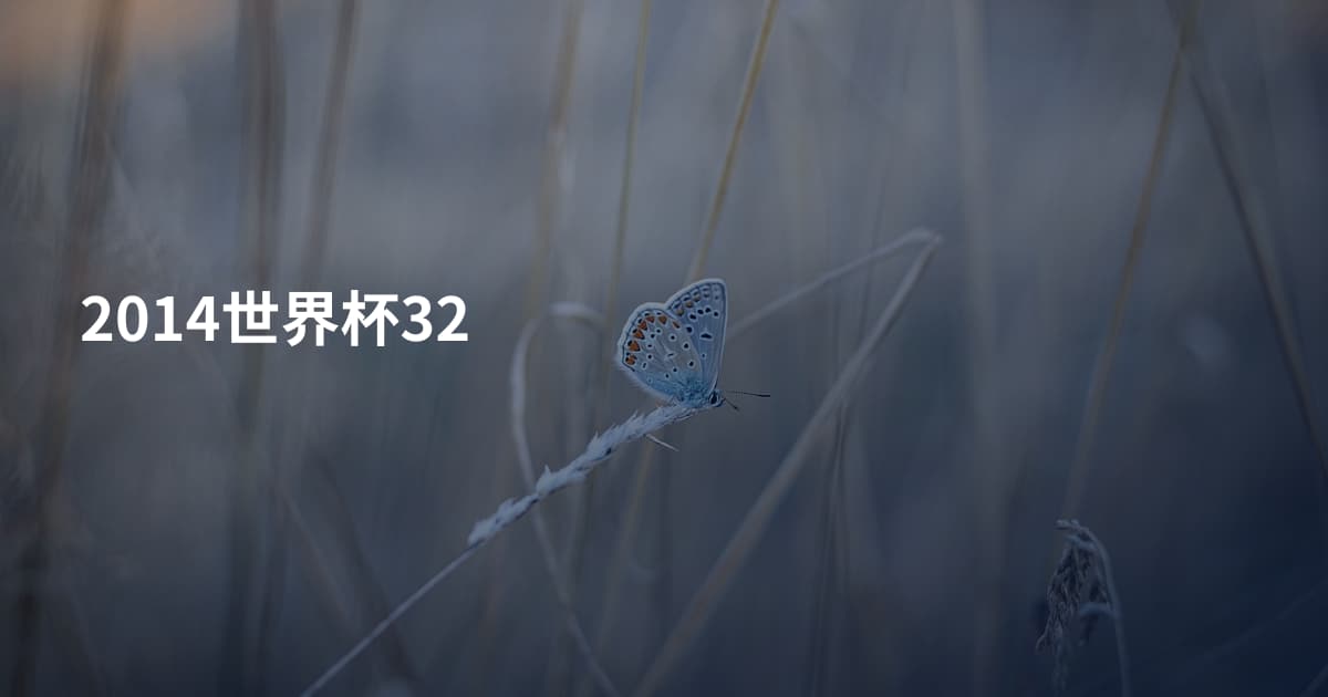 2014世界杯32