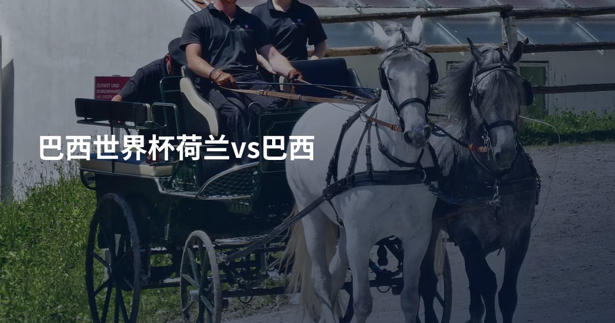 巴西世界杯荷兰vs巴西
