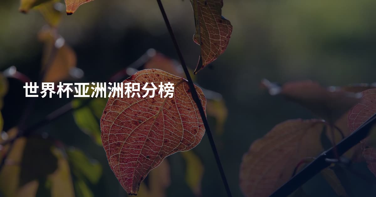 世界杯亚洲洲积分榜
