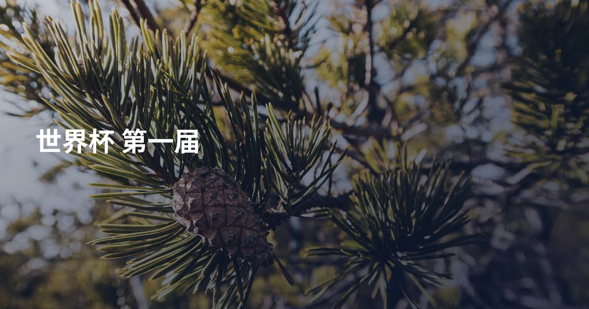 世界杯 第一届