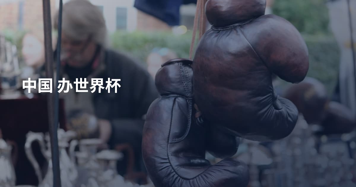 中国 办世界杯
