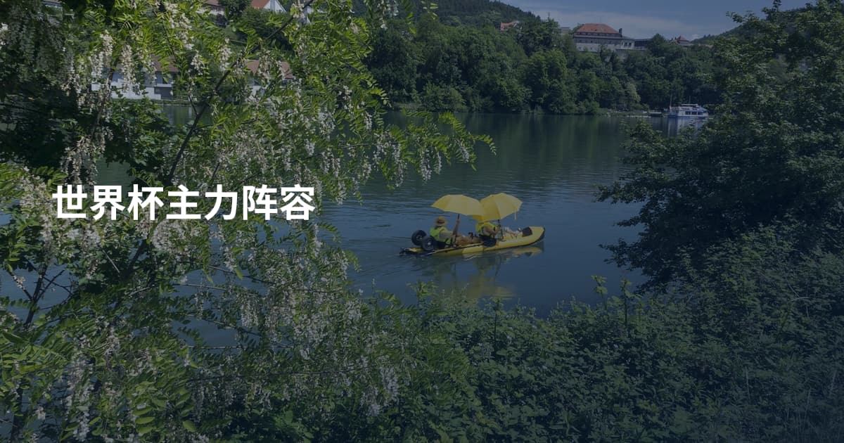 世界杯主力阵容
