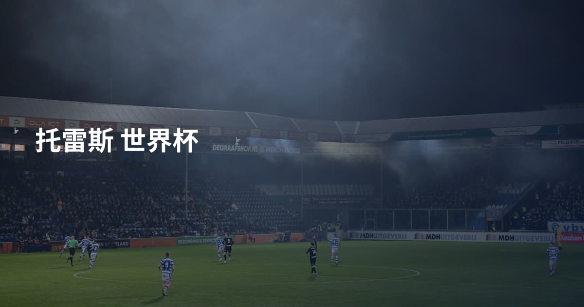 托雷斯 世界杯