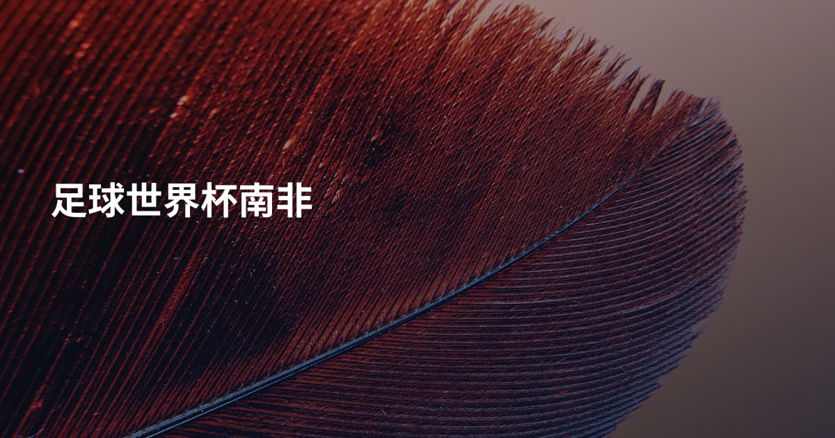 足球世界杯南非