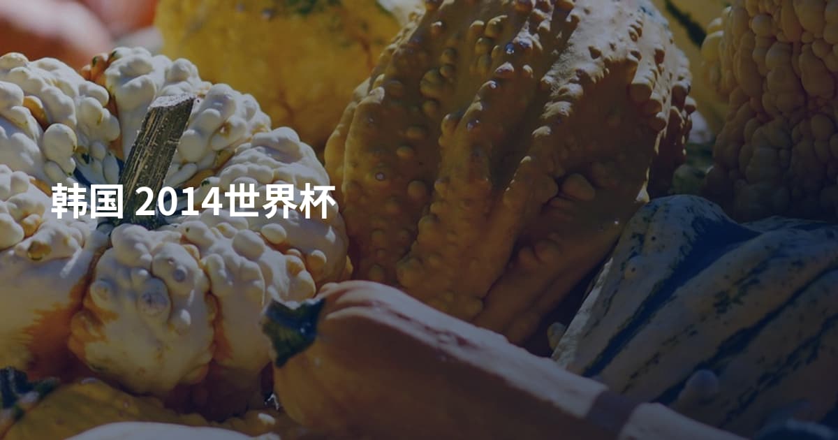 韩国 2014世界杯