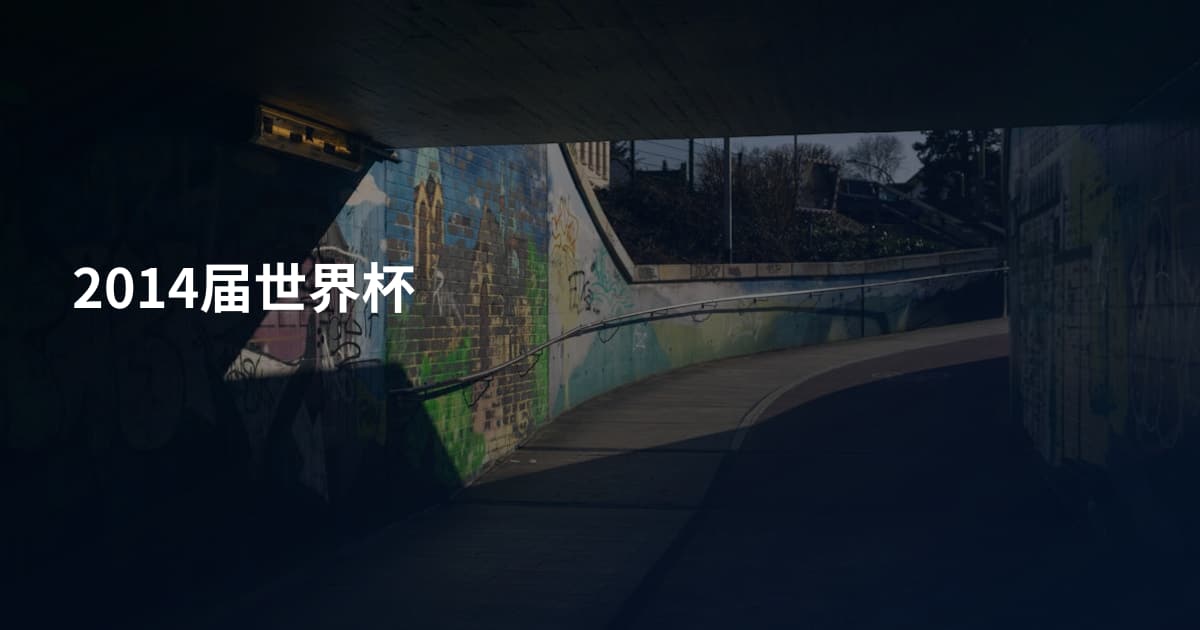 2014届世界杯