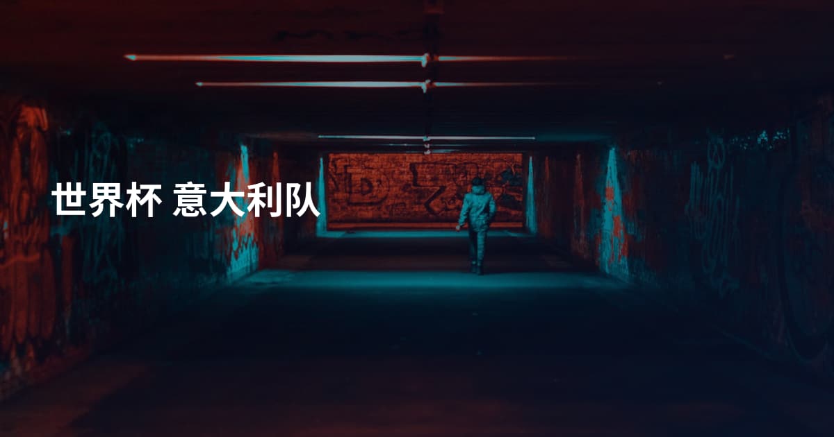 世界杯 意大利队