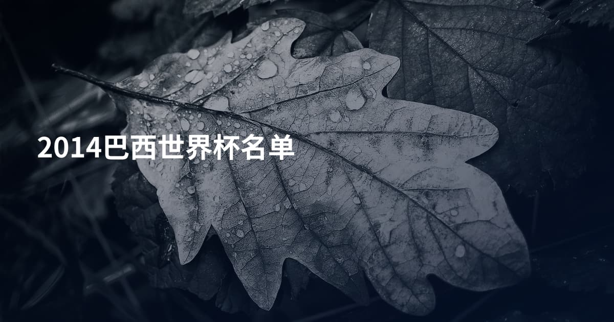 2014巴西世界杯名单