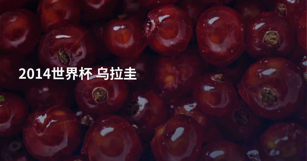 2014世界杯 乌拉圭