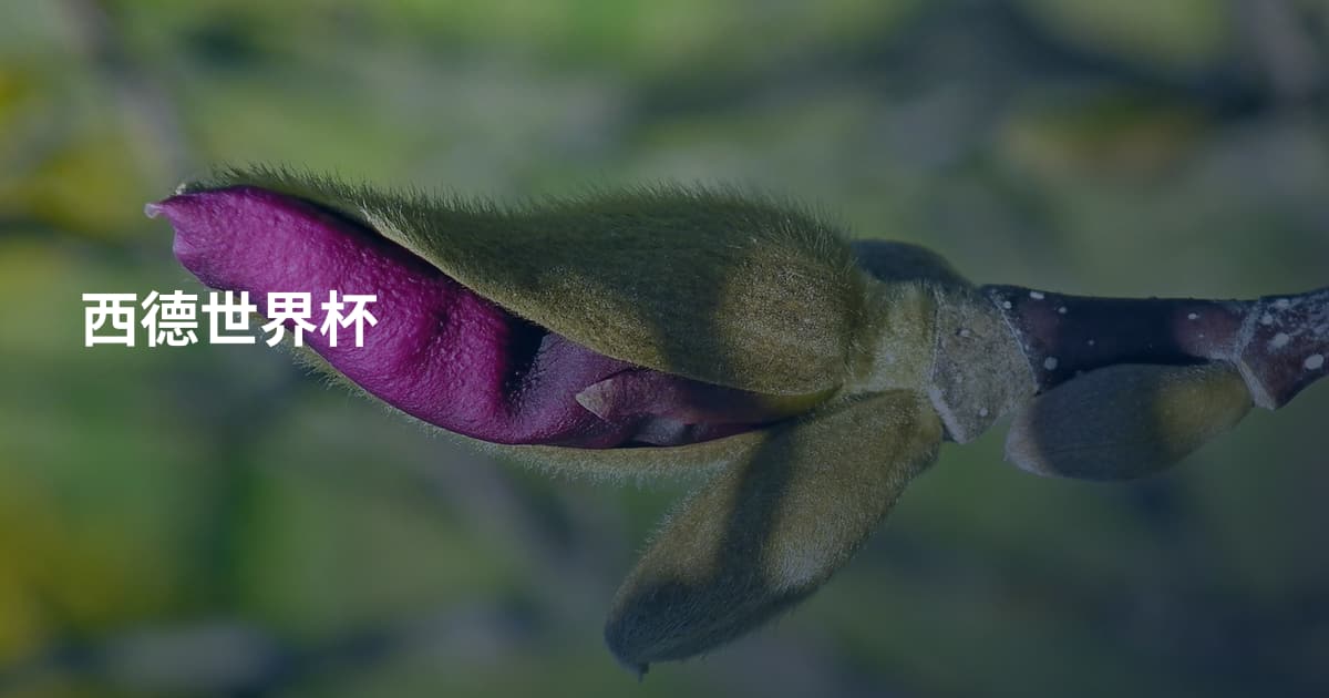 西德世界杯