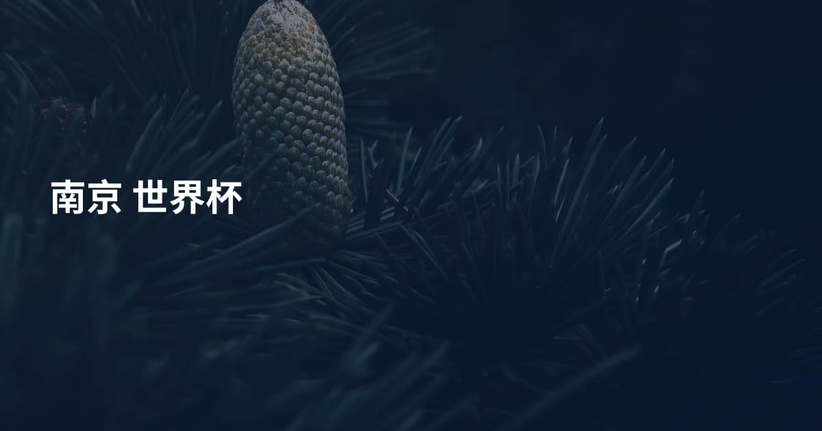 南京 世界杯