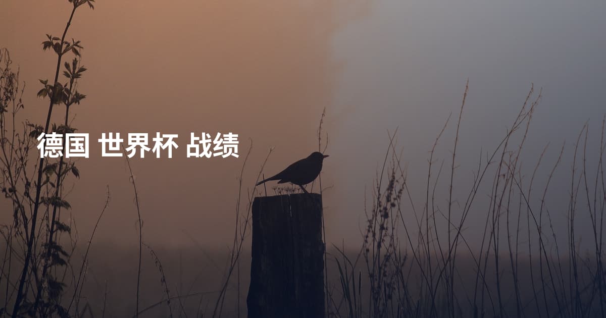 德国 世界杯 战绩