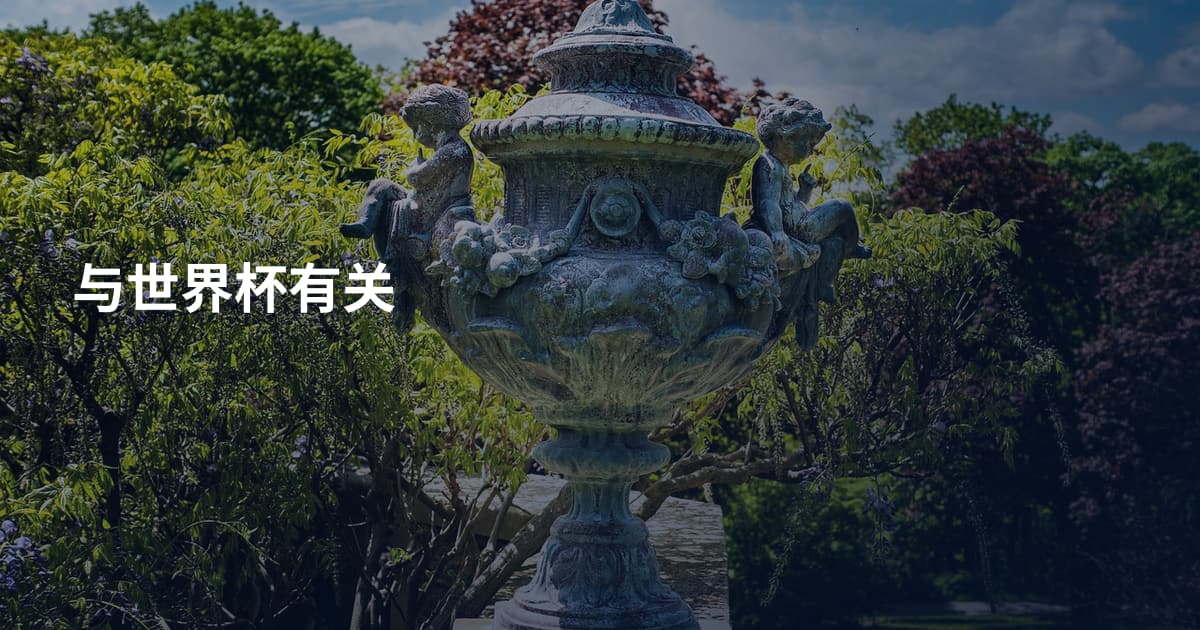 与世界杯有关