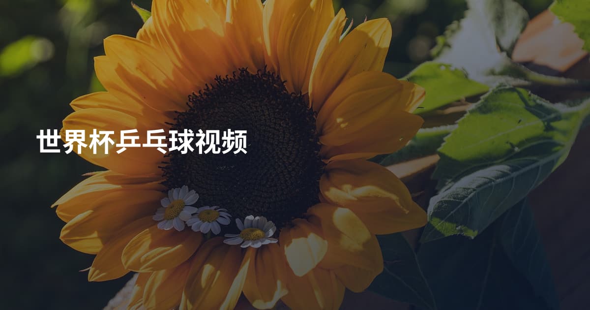 世界杯乒乓球视频