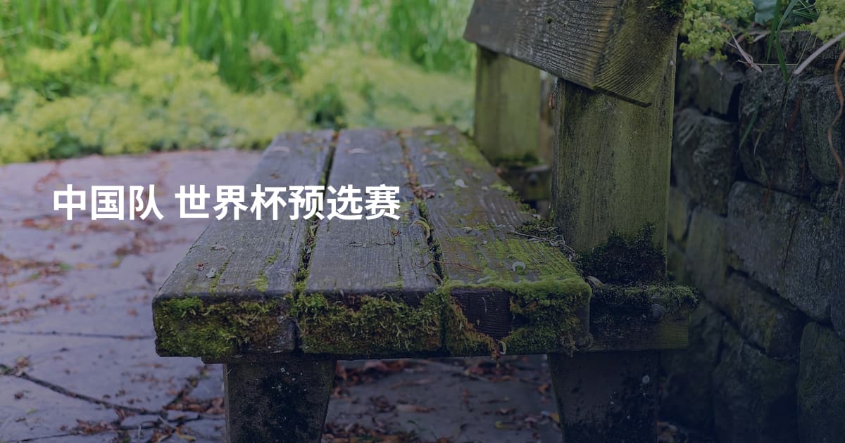 中国队 世界杯预选赛