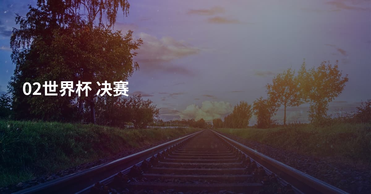 02世界杯 决赛