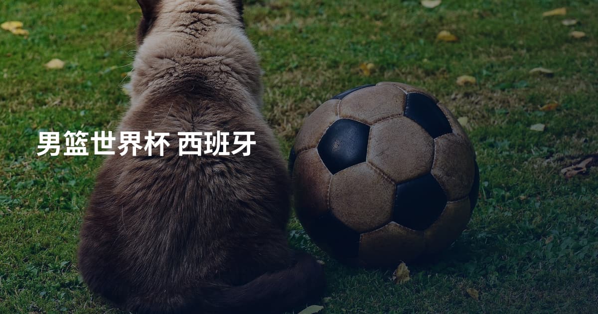 男篮世界杯 西班牙