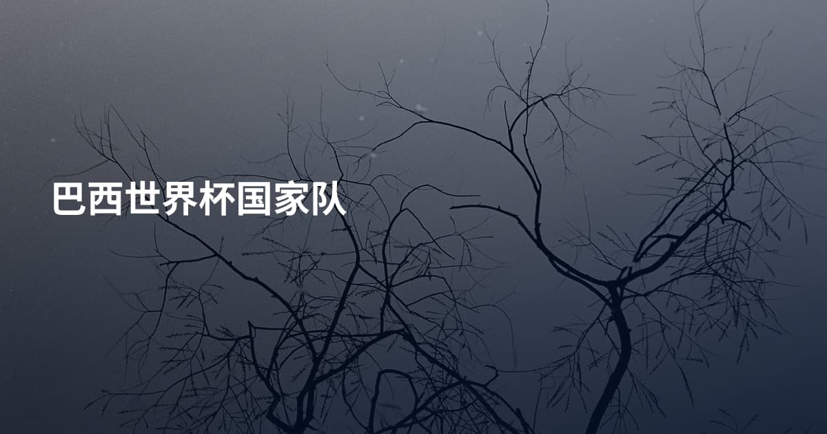 巴西世界杯国家队