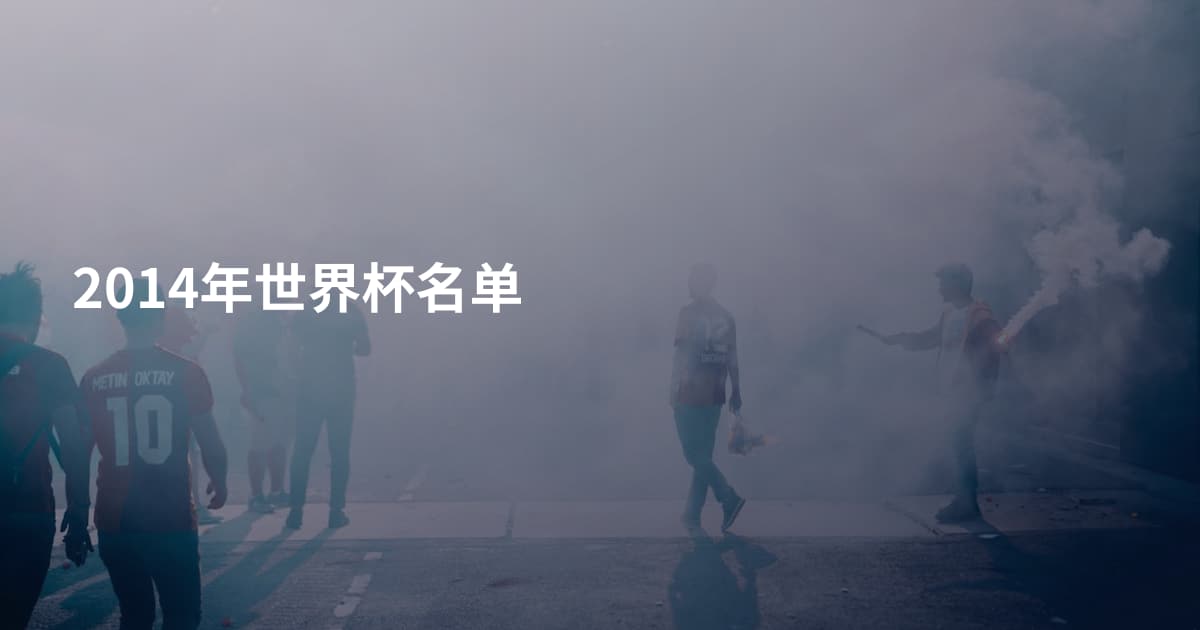 2014年世界杯名单