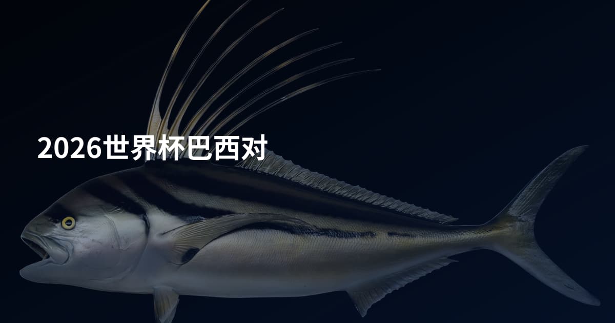 2026世界杯巴西对