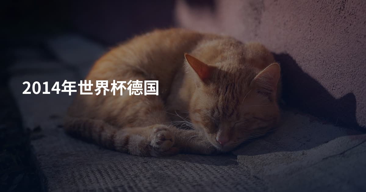 2014年世界杯德国